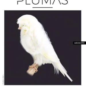 Revista Plumas Nº10