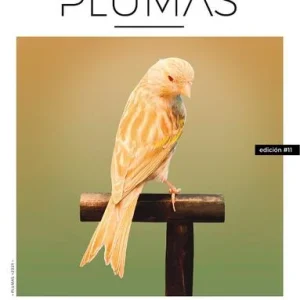 Revista Plumas Nº11