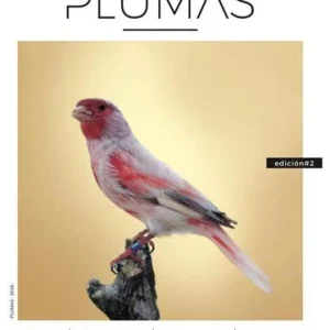 Revista Plumas Nº2