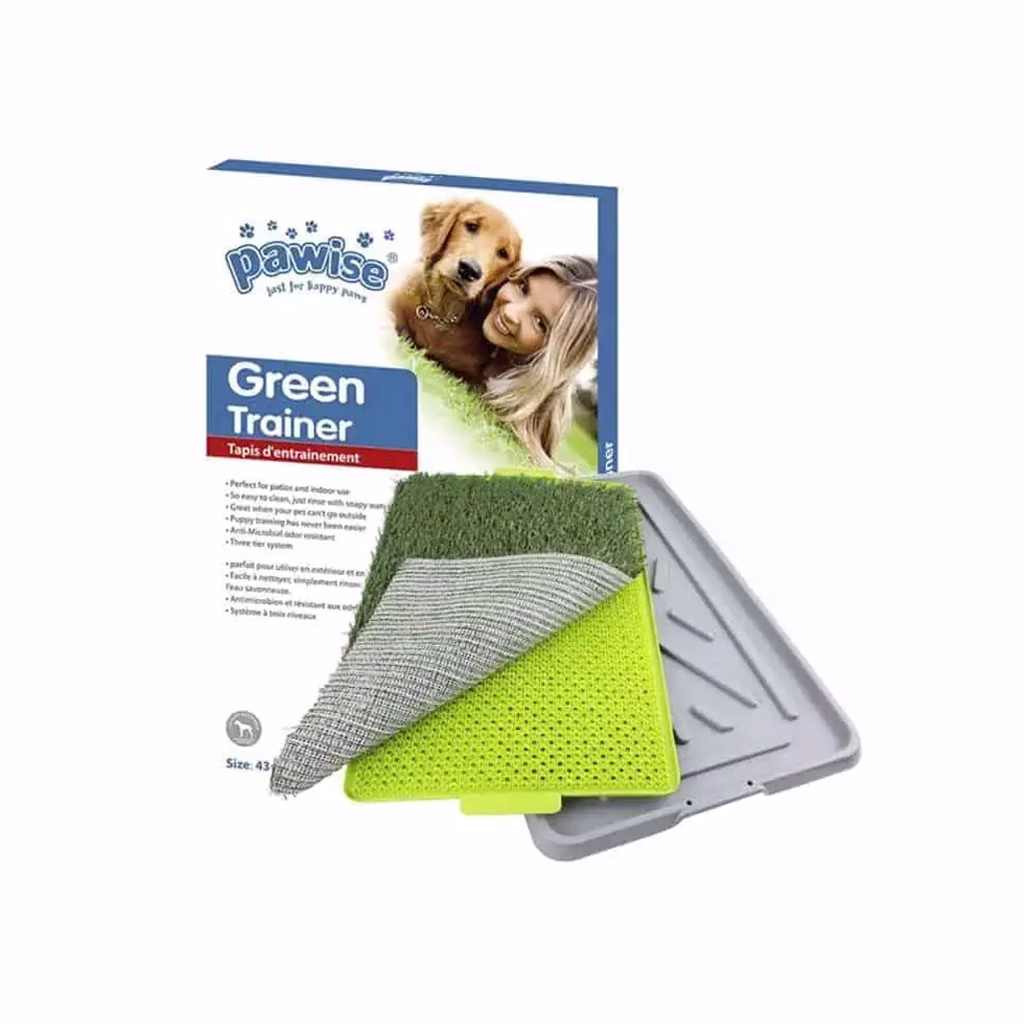 Pawise Green Trainer 43×67 cm