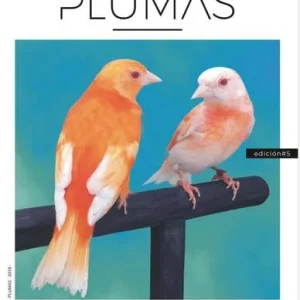 Revista Plumas Nº5