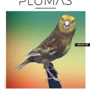Revista Plumas Nº6