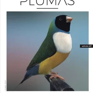 Revista Plumas Nº7
