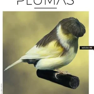 Revista Plumas Nº8
