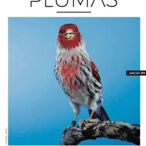 Revista Plumas Nº9
