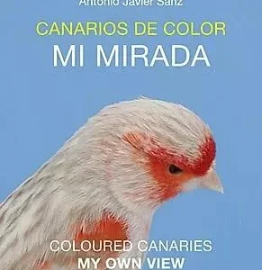 Canarios de Color