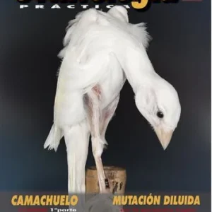 Revista Práctica Nº100