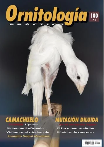 Revista Práctica Nº100