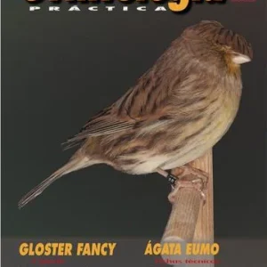 Revista Práctica Nº101