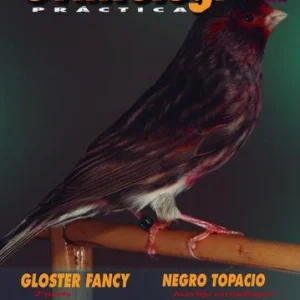 Revista Práctica Nº102