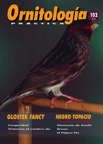 Revista Práctica Nº102