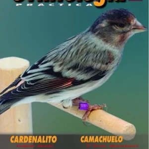 Revista Práctica Nº103