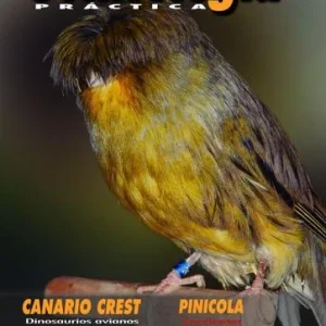 Revista Práctica Nº104