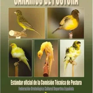 Estándar oficial de Canarios Postura
