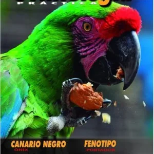 Revista Práctica Nº106