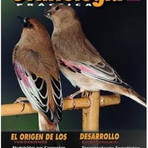 Revista Práctica Nº107