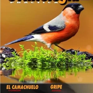 Revista Práctica Nº108