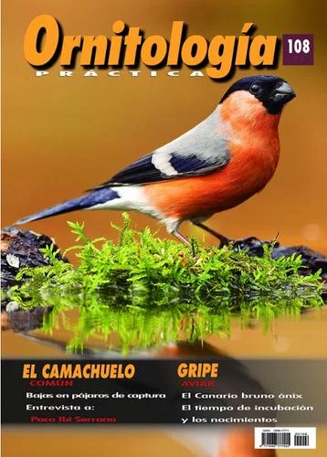 Revista Práctica Nº108