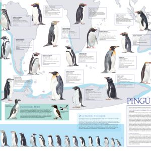 Póster pingüinos del mundo
