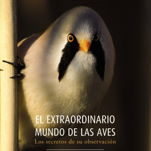 El extraordinario mundo de las aves. Los secretos de su observación