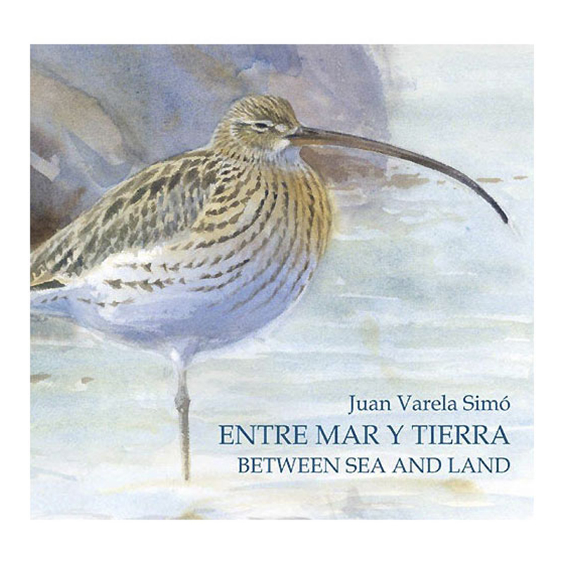 Entre mar y tierra. Juan Varela (proyecto artístico sobre Doñana)