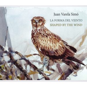 La forma del viento. Juan Varela (exposición artística)