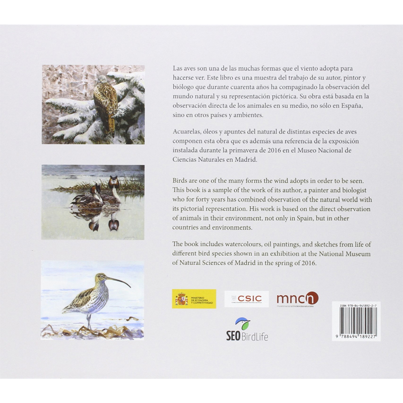 La forma del viento. Juan Varela (exposición artística) - Imagen 2