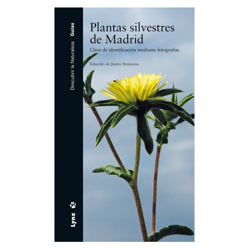 Plantas silvestres de Madrid
